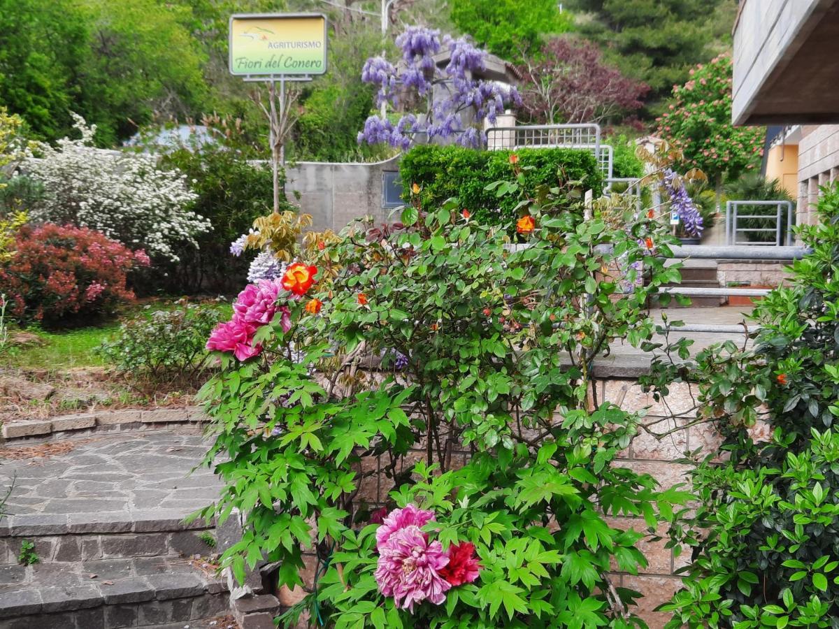 Fiori Del Conero Villa Анкона Екстериор снимка