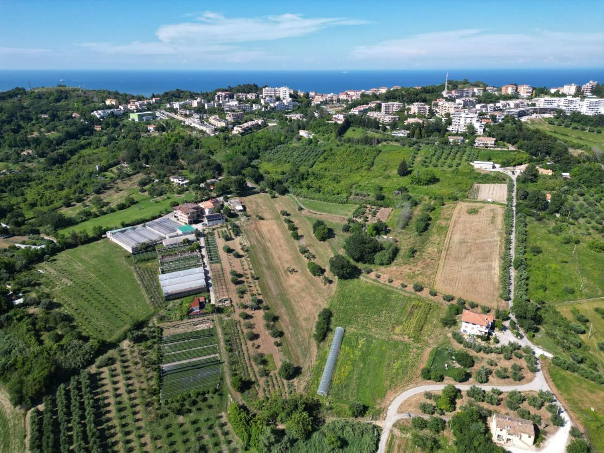 Fiori Del Conero Villa Анкона Екстериор снимка